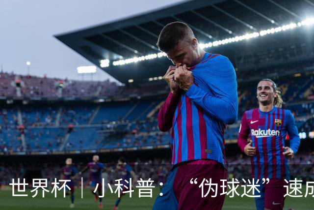 世界杯｜小科普：“伪球迷”速成手册